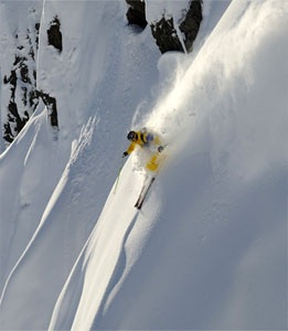 Freerider Stefan Häusl